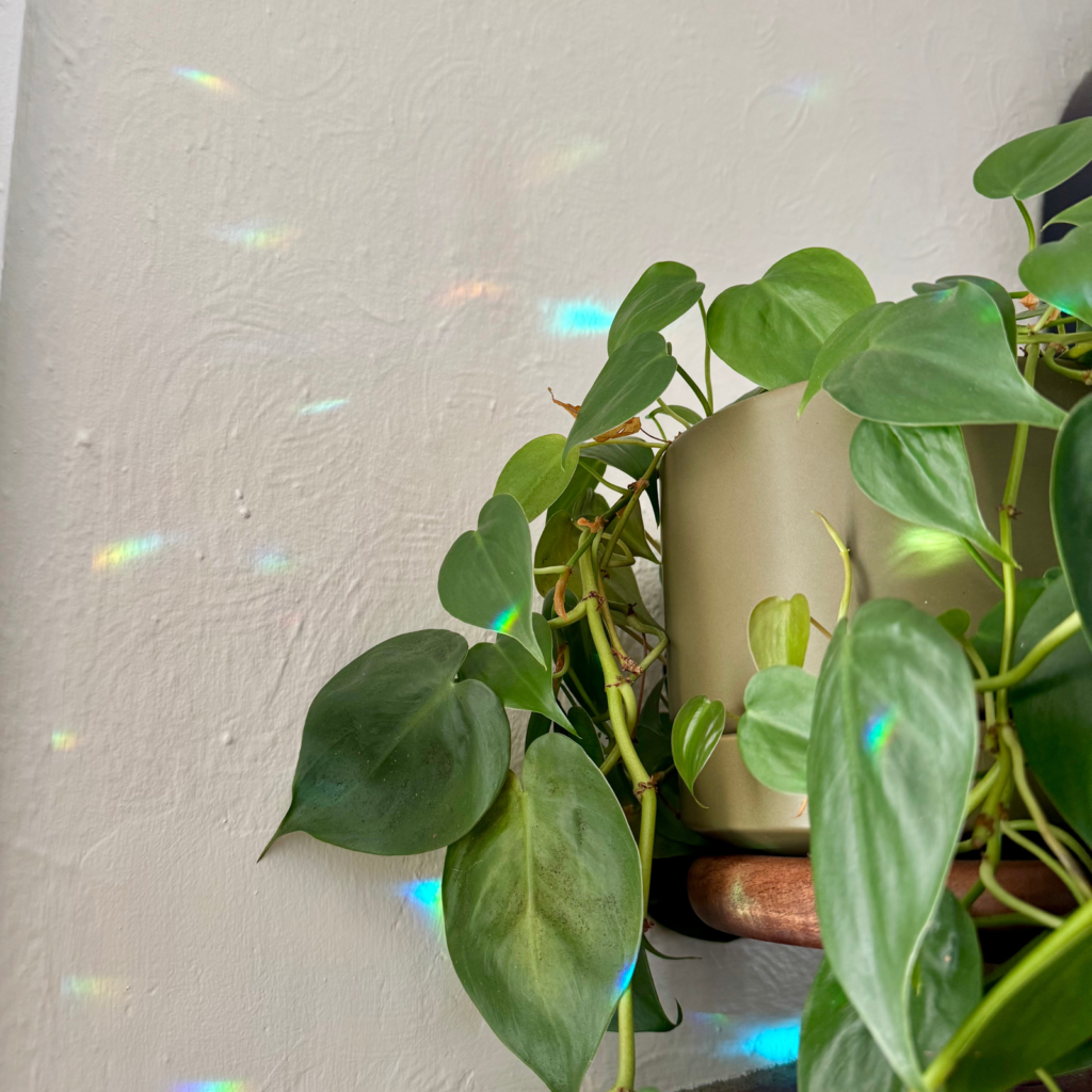 The Bright Spots Effect
